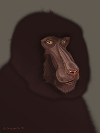 Портрет Анубиса.