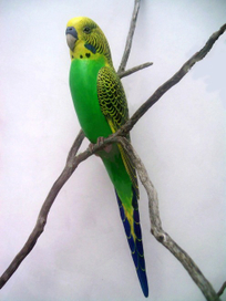 Очень волнистый