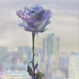 Одинокая роза