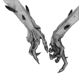 Иллюстрации к книге "Кукушка"