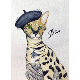 Fashion Cat  Dior