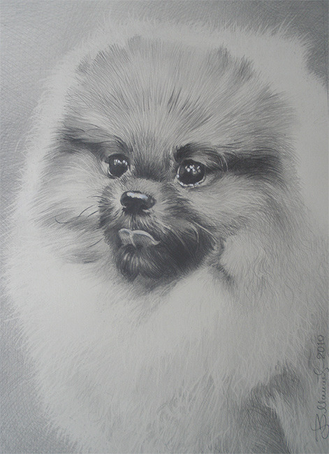 Портрет Эльфа.Заказ по фото.