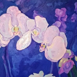 Орхидеи 3