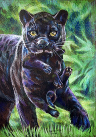 Пантера с котенком