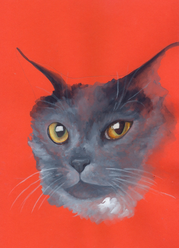 кошачий портрет (х 6)