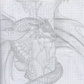 Predatory Wings(2013)