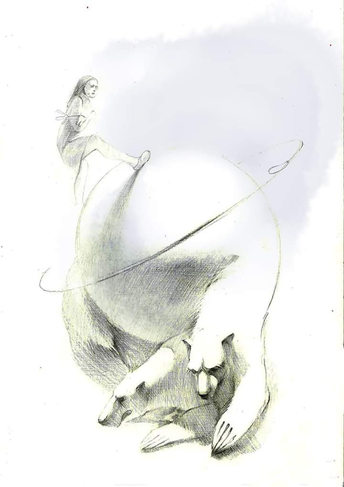 Северной полюс