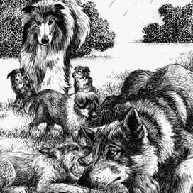 Дремлющий волк. Потомство