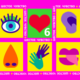 6  чувство