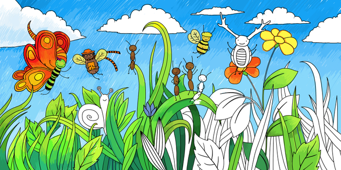 Приключения маленькой гусеницы. Последний разворот с раскраской .