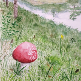 Ново-Дмитровка