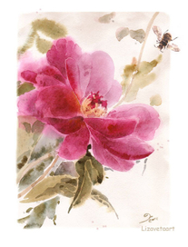 Пушистый шмель на душистый...