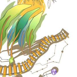 Неизвестная прекрасная дорога