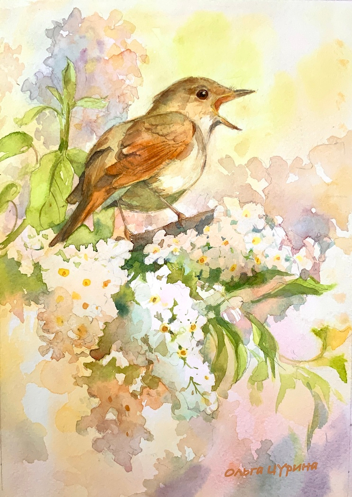 «Соловьи» Юрий Коваль