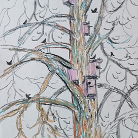 Скворцы в апреле 