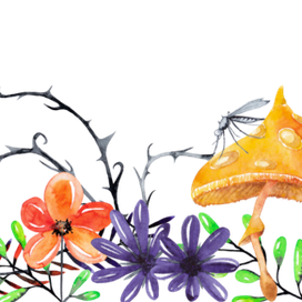 Mosquito (fantastic botany)