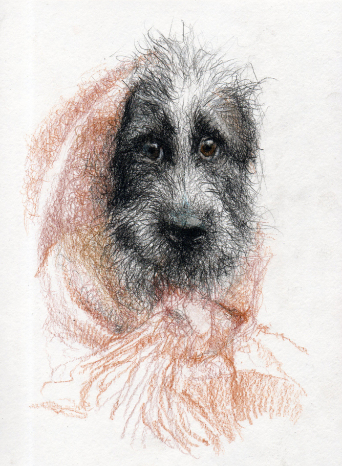 Пес Пятнышко