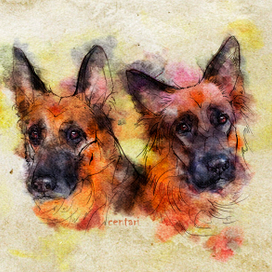 Мульяна и Квелле