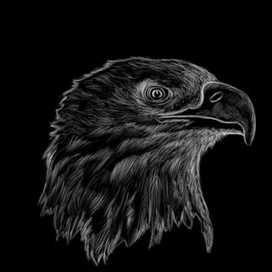 Орел (Белое по черному)