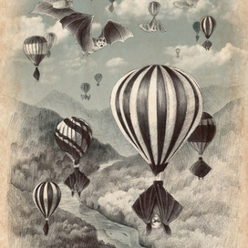 Летучие мыши