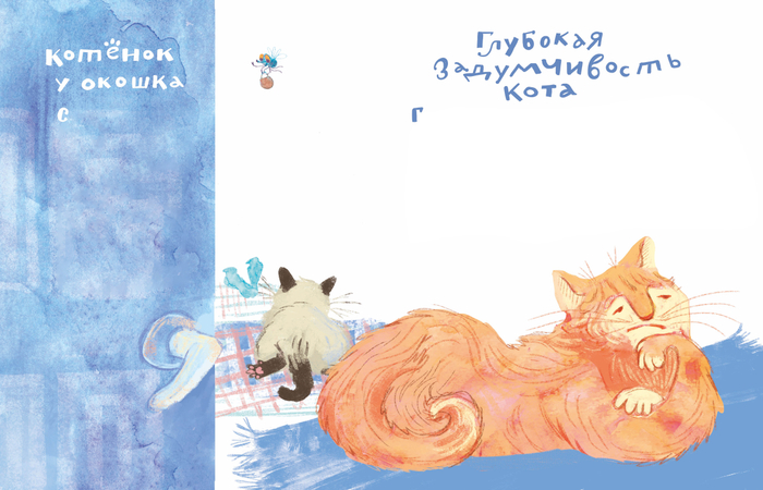 Коты у окна