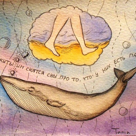 в море спят киты