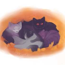 Осенние котики