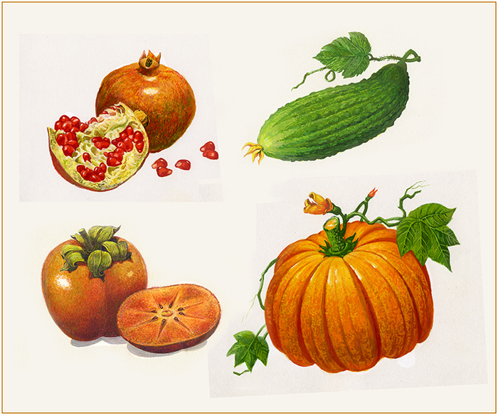 Иллюстрация-1