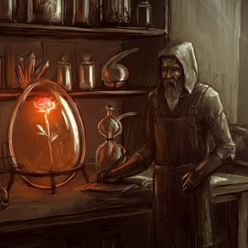 Роза Парацельса