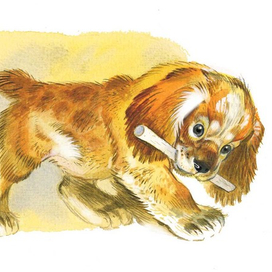 Е. Чарушин "Про Томку"