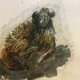 Дворовый пёс 