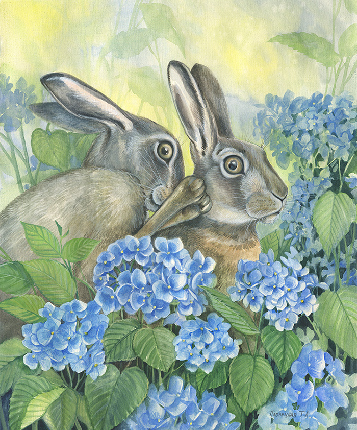 Лесные сплетни 