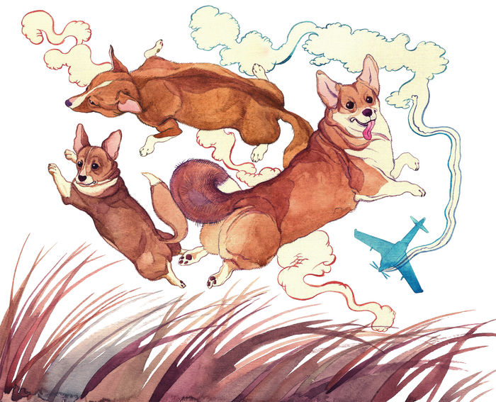 Летающие корги