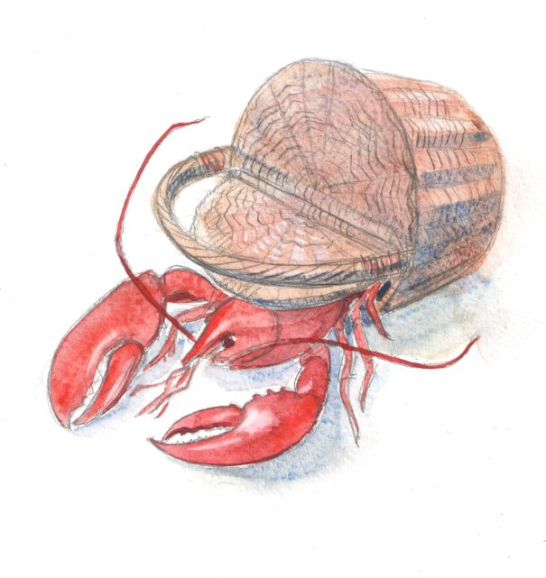 Иллюстрация к повести Луизы Мэй Олкотт "Маленькие женщины замужем"