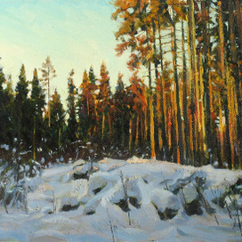 Зимний лес в лучах заходящего солнца