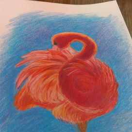 Розовый фламинго