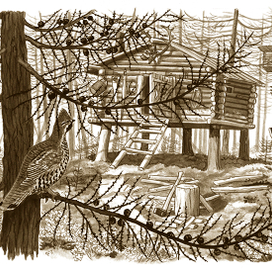 Избушка на острове Тополином.