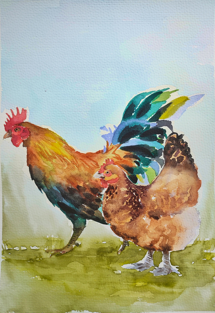 Курочка и петух