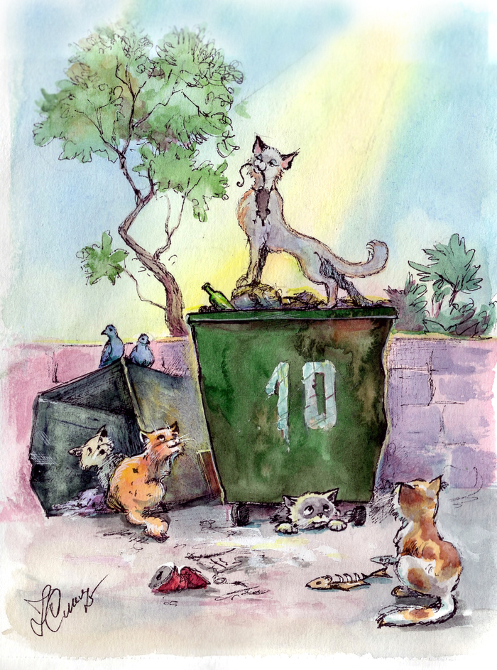 кошка суперзвезда