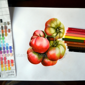 Овощи.Томаты 