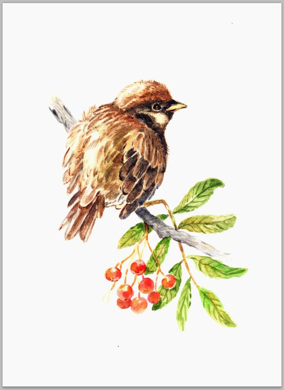 Воробейкин