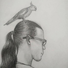 Король птиц