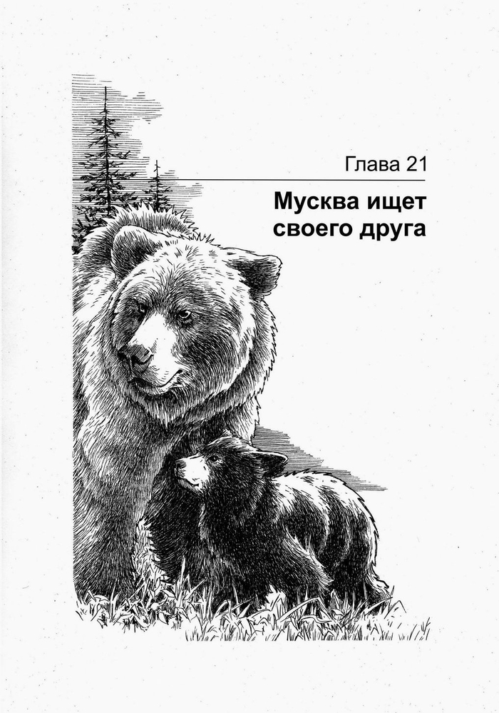 ГРИЗЛИ. Мусква ищет своего друга