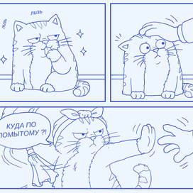 Кошатники поймут)