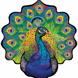 Павлин для пазлов