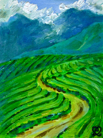 Чайные плантации, дорога в небо.