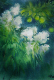 Сад - флоксы