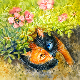 Кошка Лапушка