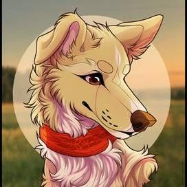 Портрет питомца