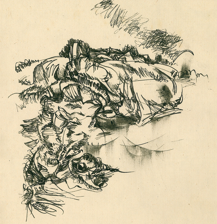 у озера ( набросок пером)